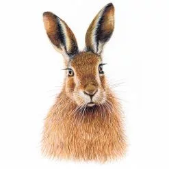 Clare Villar Clare Donegan Hare Limited Edition Print