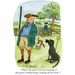 Oliver Preston Greetings Card - What's The Point Of All My Training