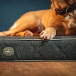 Le Chameau Cushion Dog Bed 9 Le Chameau Cushion Dog Bed -Shooting Sales Shop f21a0163.4