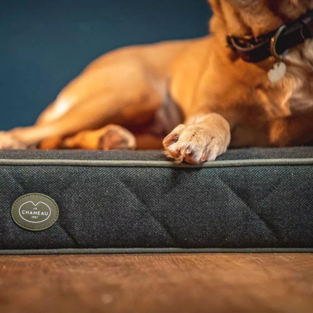 Le Chameau Cushion Dog Bed 6 Le Chameau Cushion Dog Bed - Image 4