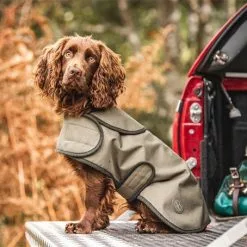 Le Chameau Dog Coat 7 Le Chameau Dog Coat -Shooting Sales Shop f21a0164.2