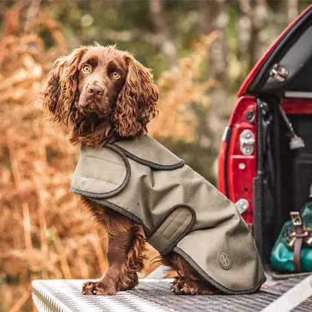 Le Chameau Dog Coat 5 Le Chameau Dog Coat - Image 3