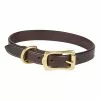 Farlows Bridle Leather Dog Collar 2 Farlows Bridle Leather Dog Collar -Shooting Sales Shop f21a0288.1