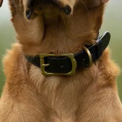 Farlows Bridle Leather Dog Collar -Shooting Sales Shop f21a0288.1 4