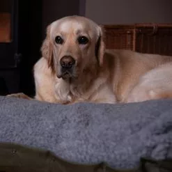 Farlows Duvet Dog Bed -Shooting Sales Shop f21a0301.2