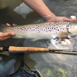 Fly Rod Guideline LPs Euro Nymphing -Shooting Sales Shop fly rod guideline lps euro nymphing.4