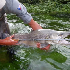 Fly Rod Hanak Competition Alpen Nymph 4 In 1 -Shooting Sales Shop fly rod hanak competition alpen nymph 4 in 1.2