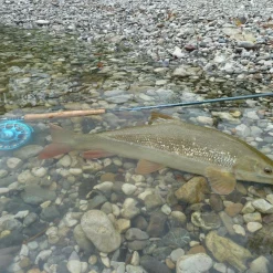 Fly Rod Hanak Competition Alpen Nymph 4 In 1 -Shooting Sales Shop fly rod hanak competition alpen nymph 4 in 1.3