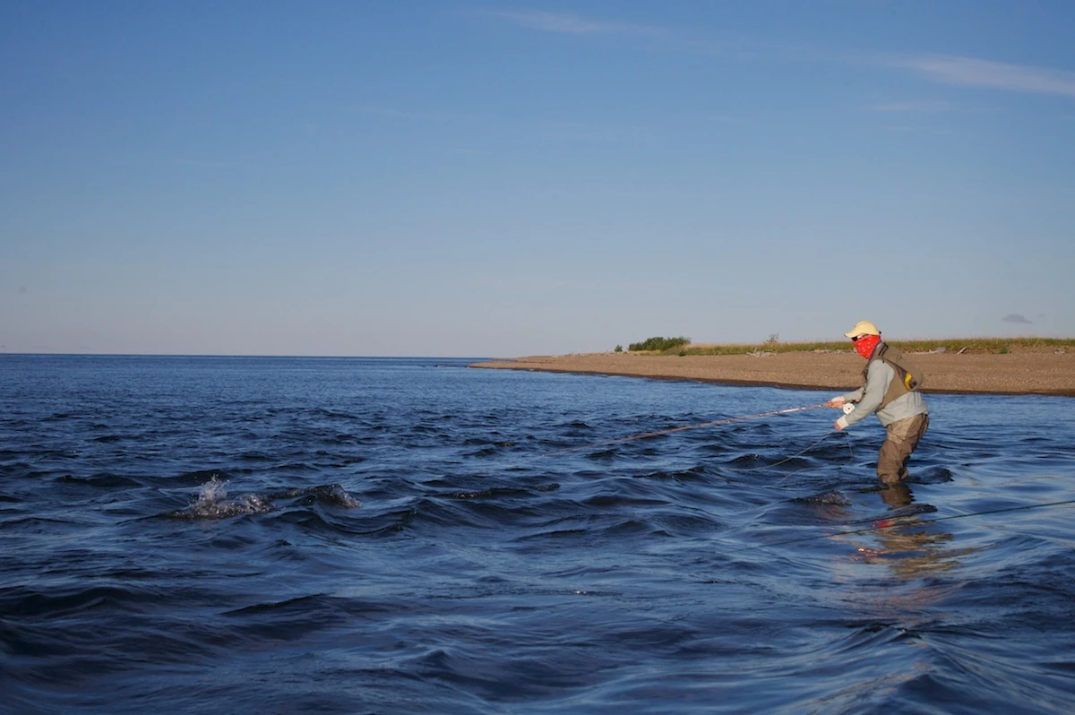 Buff Original UV Buff Scatter 6 Buff Original UV Buff Scatter - Image 4